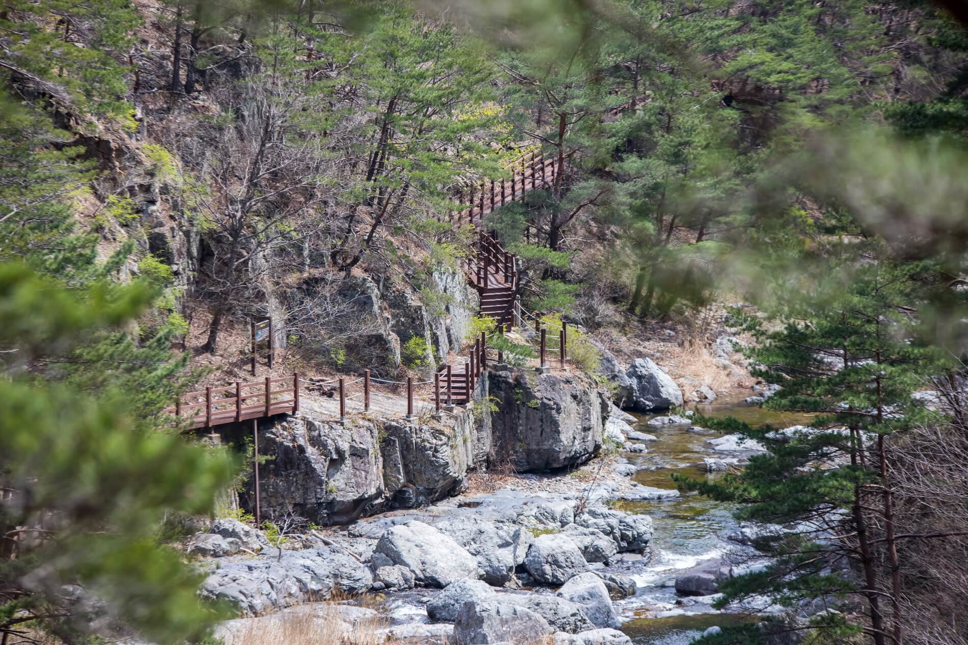 신선계곡의 트래킹 코스