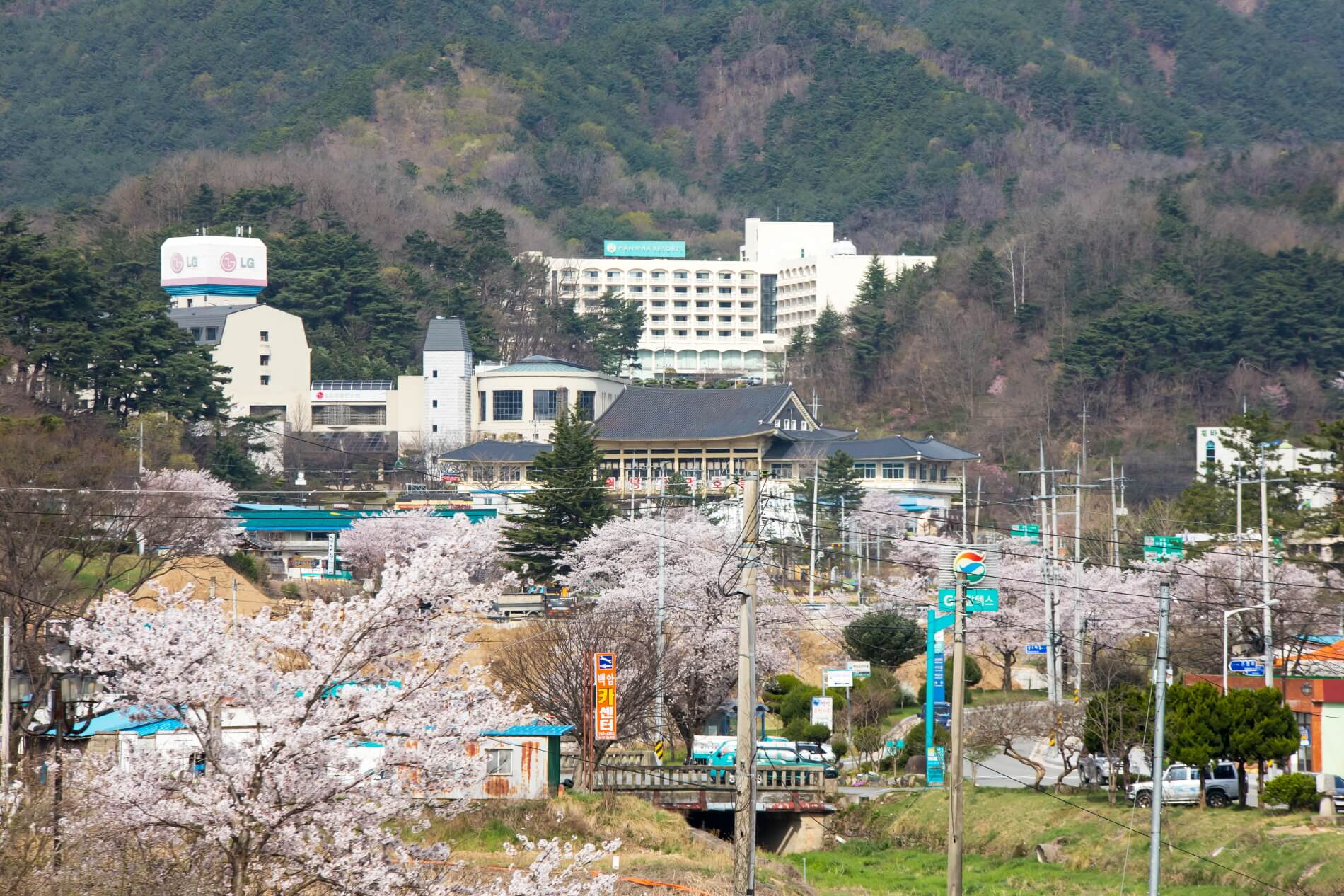 백암온천 숙박시설