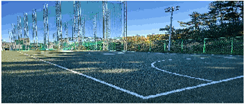 풋살장 전경