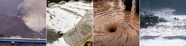 산불, 폭설, 홍수, 해일 등 재난상황