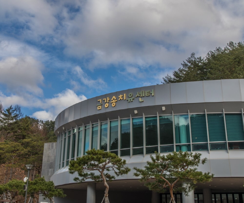 금강송 테마전시관/에코리움