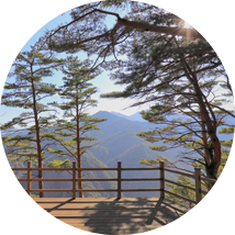 구수곡자연휴양림