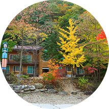 통고산자연휴양림