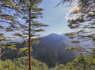 구수곡자연휴양림