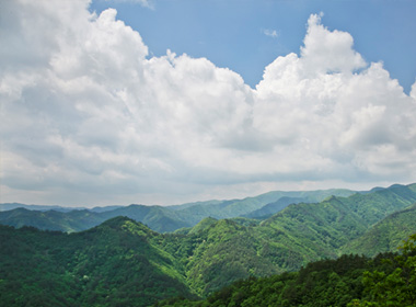 왕피천생태탐방로