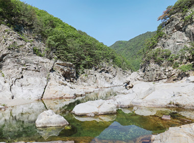 왕피천생태탐방로