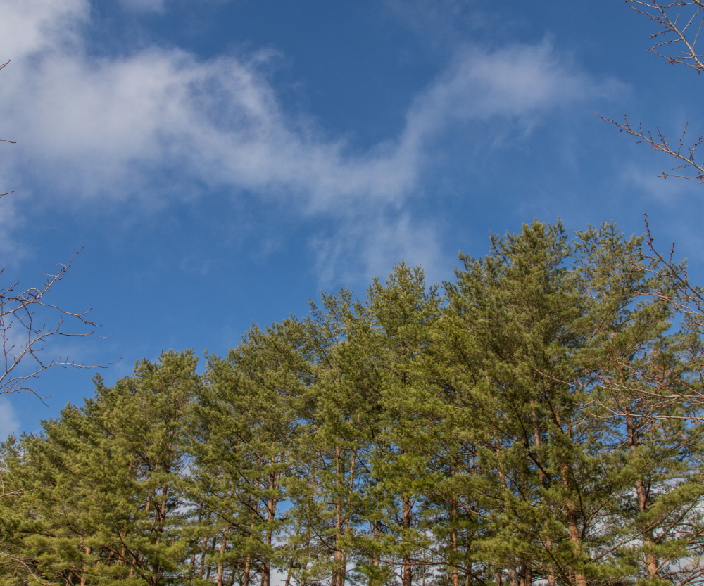 1박 2일 트래킹코스