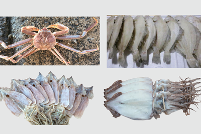 대게/건어물 외 이미지