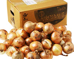 친환경 양파