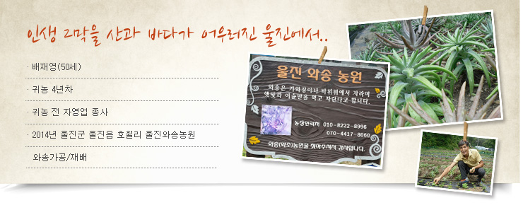 인생 2막을 산과 바다가 어울러진 울진에서.., 배재영(50세), 귀농 4년차, 귀농 전 자영업 종사, 2014년 울진군 울진읍 호월리 울진와송 농원 와송가공/재배