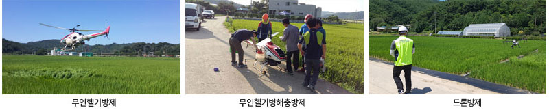 무인헬기방제, 무인헬기병해충방제,드론방제