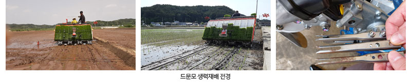 드문모 생력재배 전경