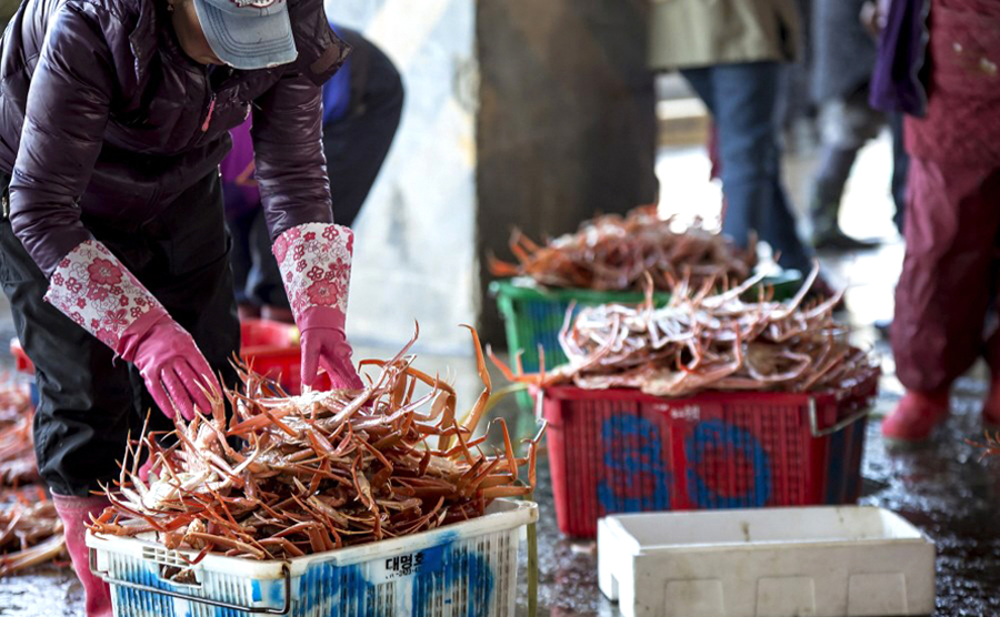 대게직판장 사진