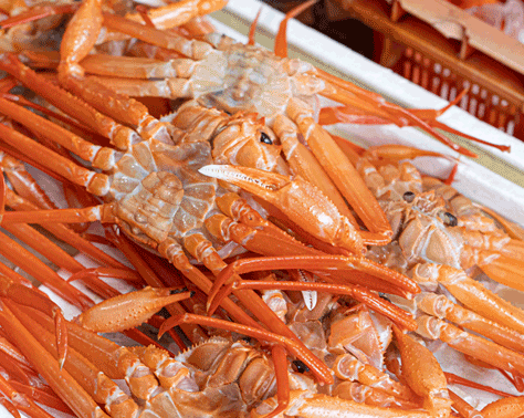감칠맛 나는 울진