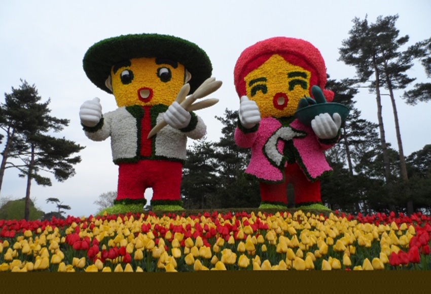 금강송송이축제