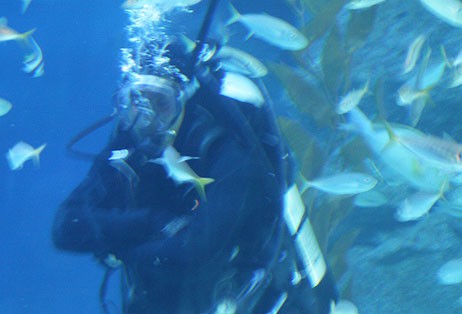 해양레포츠센터