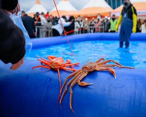 DAY3 🦀 축제 현장 스케치 🦀