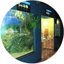 민물고기생태체험관