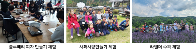 가공체험농장, 농촌교육농장, 치유프로그램