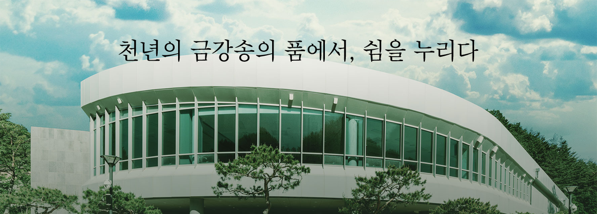 천년의 금강송의 품에서, 쉼을 누리다