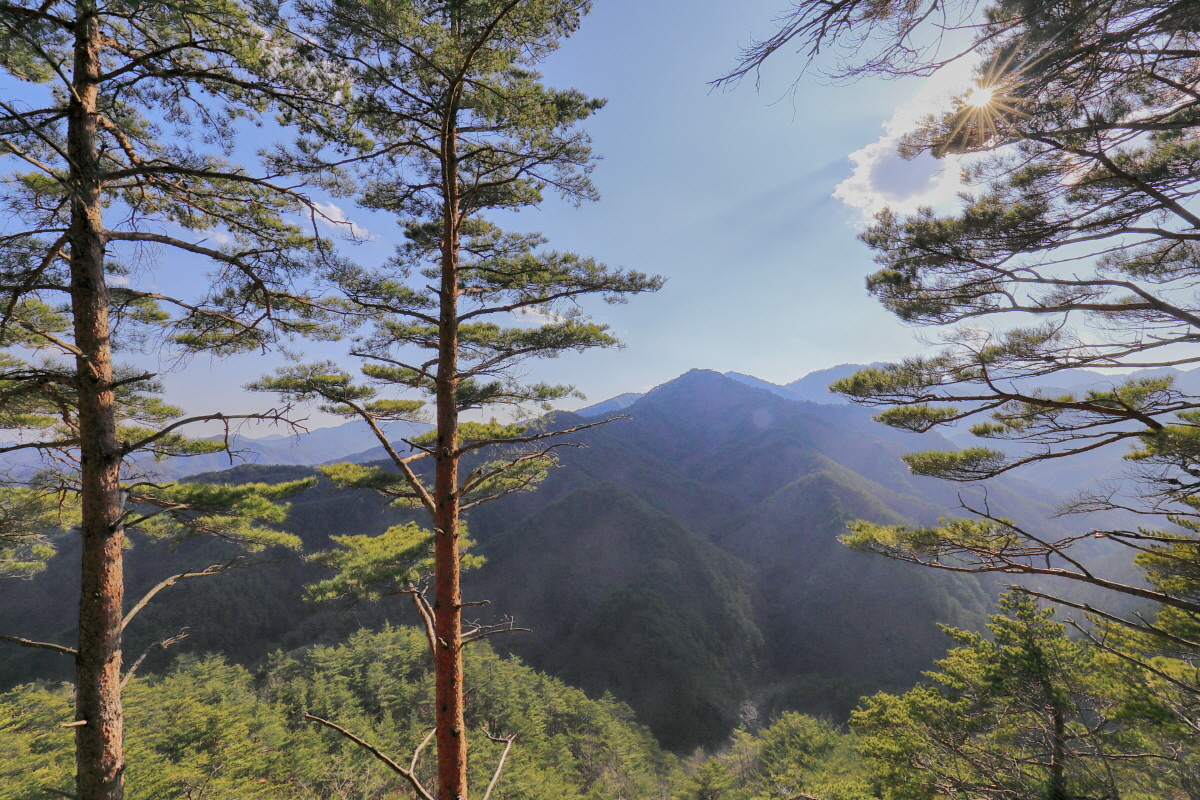구수곡자연휴양림