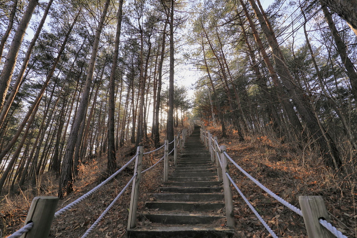 구수곡자연휴양림
