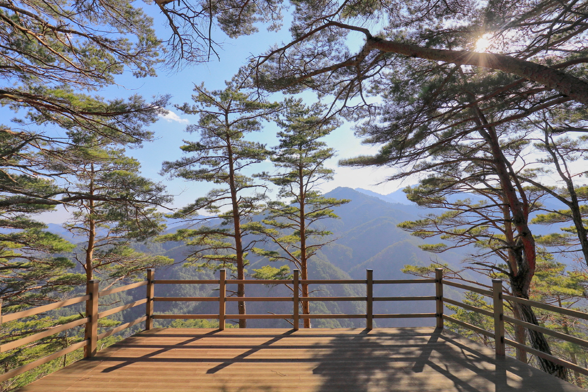 구수곡자연휴양림