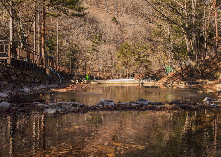 통고산자연휴양림