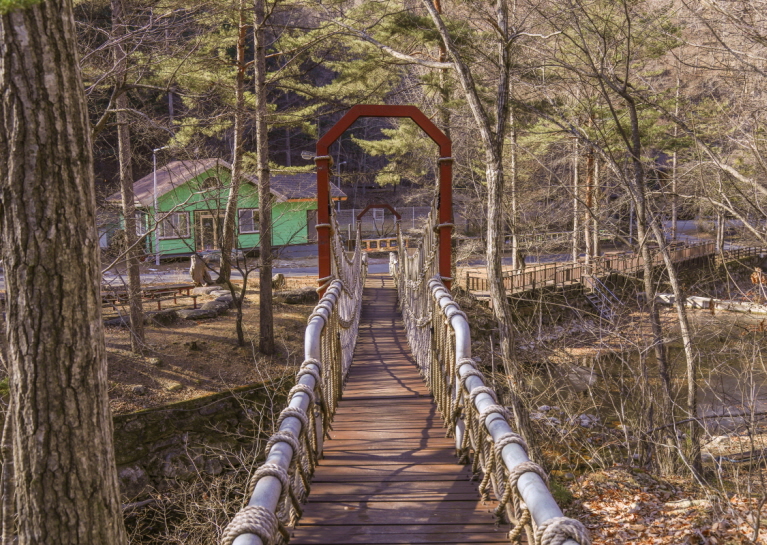 통고산자연휴양림