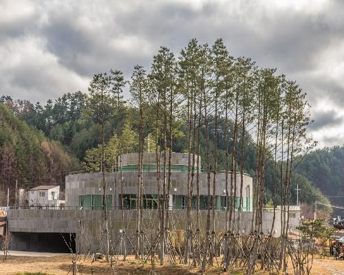 금강송 에코리움