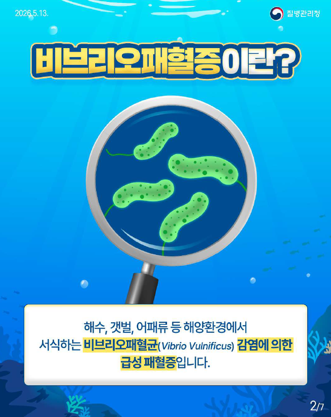 비브리오패혈증 관련 예방수칙 안내드립니다.