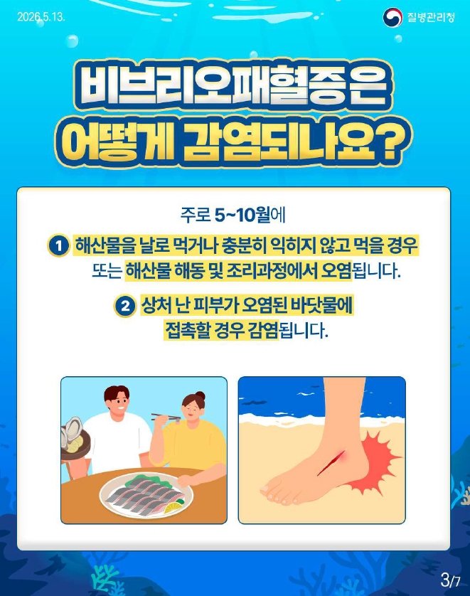 비브리오패혈증 관련 예방수칙 안내드립니다.