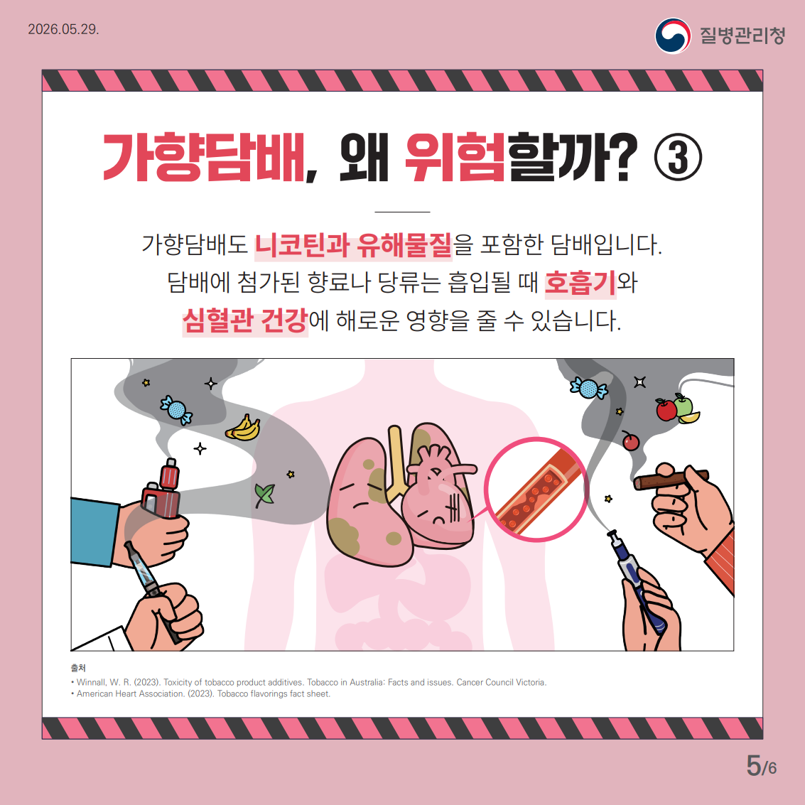흡연폐해 카드뉴스(가향담배)