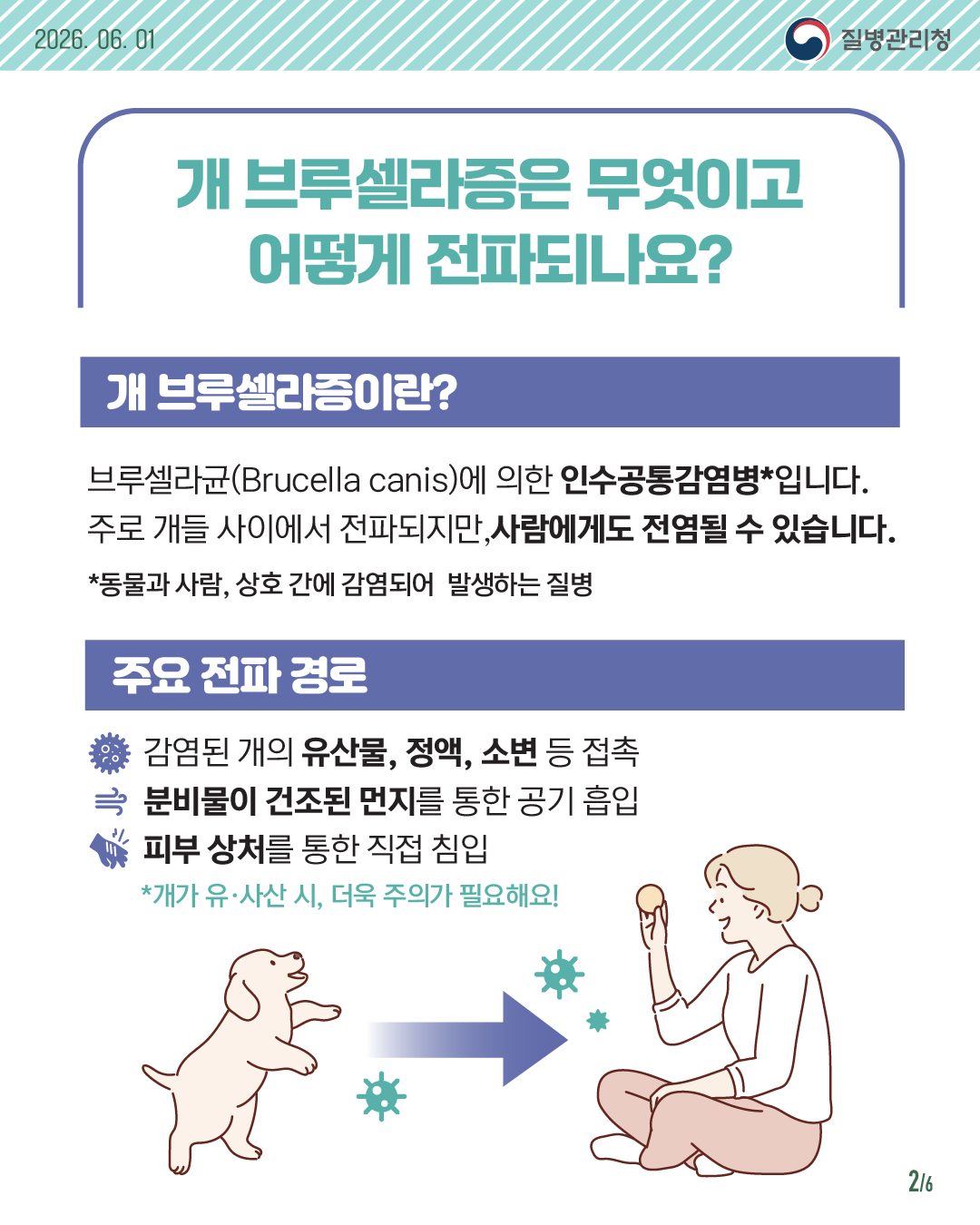 개 브루셀라증 안전 예방 수칙 안내드립니다.
