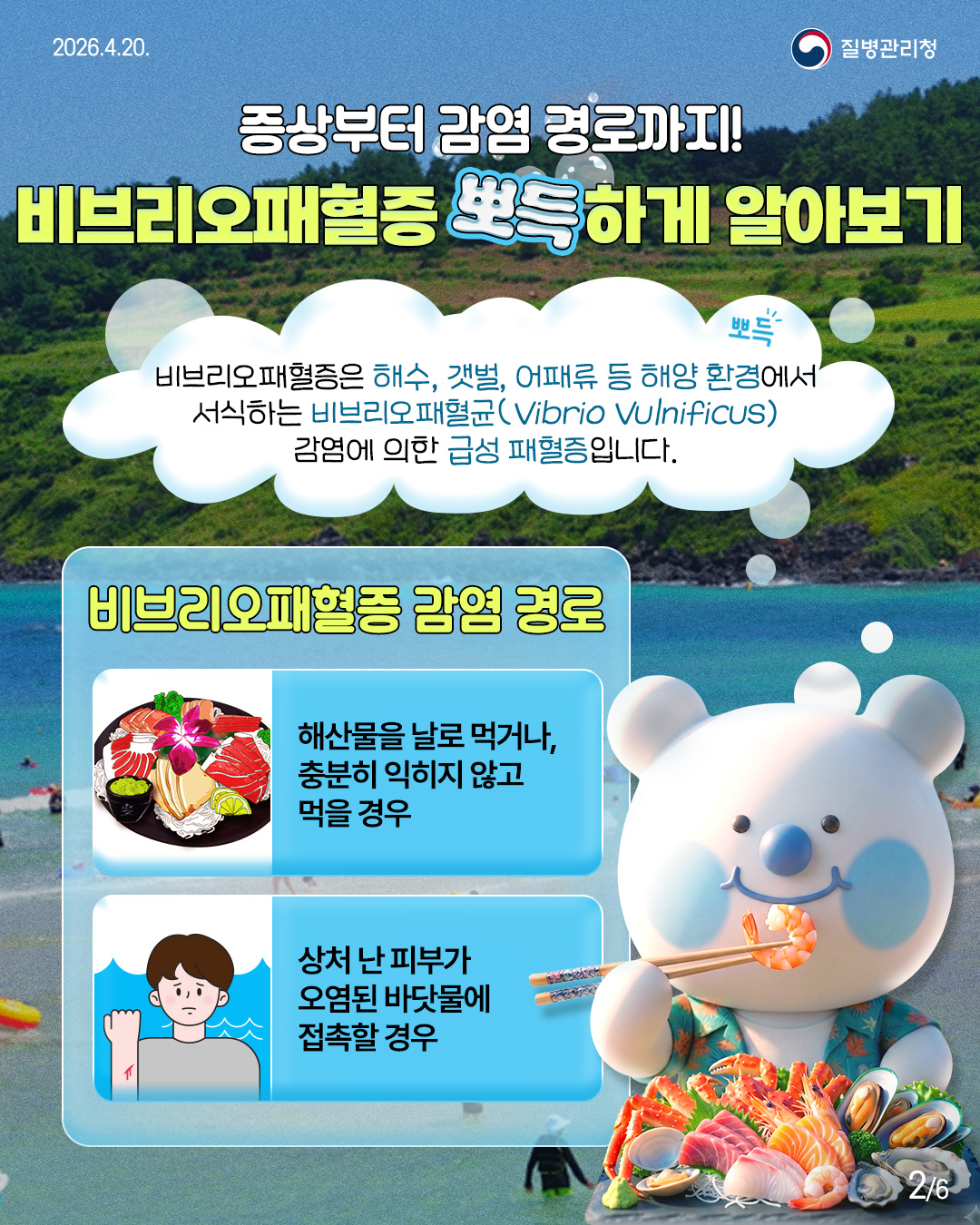 울진 바다 여행 전 알아보는 비보리오패혈증!